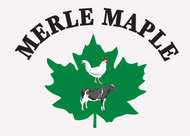 Merle Maple